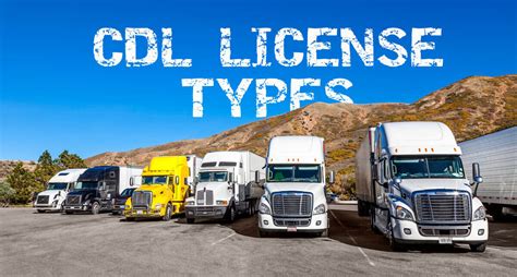 cdlbo|cdl online.